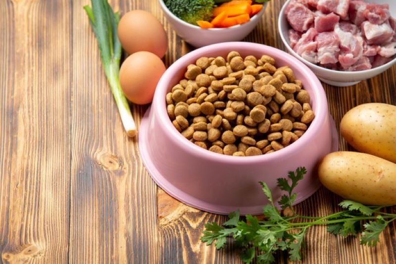 healthy fresh pet food