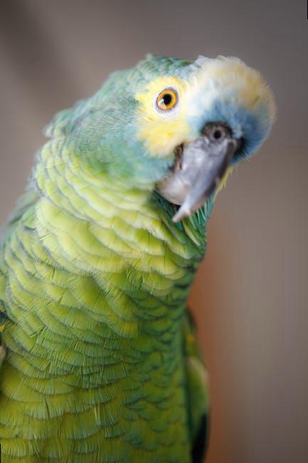 Choosing the Right Exotic Pet for You-2