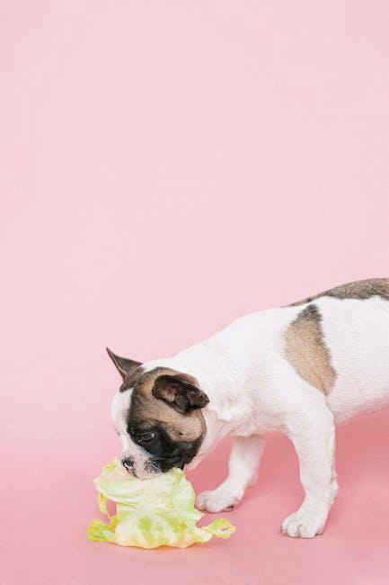 The Ultimate Guide to Pet Grooming